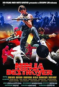 Ninja il distruttore Colonna sonora (1986) copertina