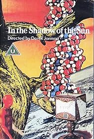 In the Shadow of the Sun (1981) copertina