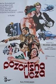 Pozorisna veza (1980) cover