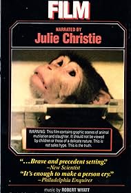 The Animals Film (1981) copertina