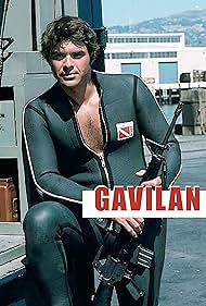 Gavilan (1982) cover