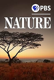 Nature Colonna sonora (1982) copertina