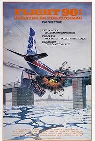 Vuelo 90: desastre en el Potomac (1984) cover