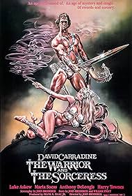 El guerrero y la hechicera (1984) carátula