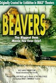 Beavers (1988) copertina