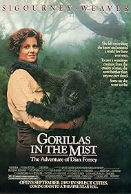 Gorilas en la niebla (1988) carátula
