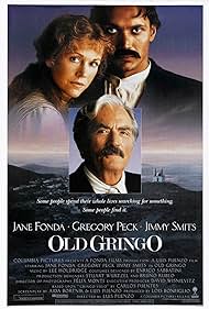 Old Gringo (1989) cover