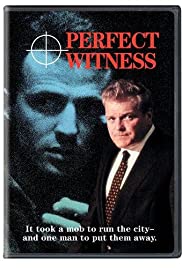 Perfect Witness (1989) cover