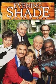 Evening Shade (1990) couverture