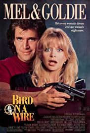 Dos pájaros a tiro (1990) carátula
