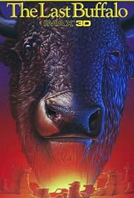 The Last Buffalo (1990) cover