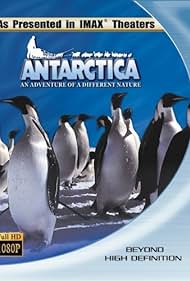 Antarctica (1991) copertina