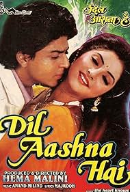 Dil Aashna Hai (...The Heart Knows) (1992) cover