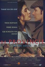 De provincie (1991) cover