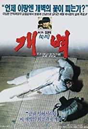 Fly High Run Far - Kae Byok Bande sonore (1991) couverture
