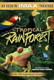 Tropical Rainforest (1992) copertina