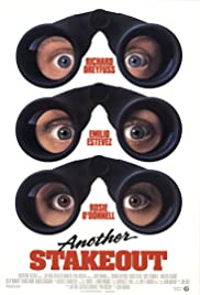 Occhio al testimone (1993) cover