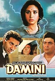 Damini (1993) cover