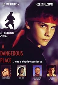 A Dangerous Place (1994) cover