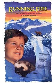 Un orsetto per amico (1994) copertina