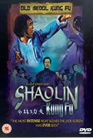 Shao Lin zhen gong fu Soundtrack (1994) cover