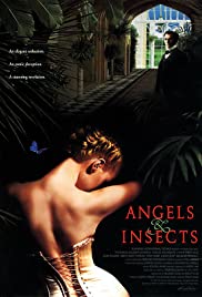 Ángeles & insectos (1995) cover