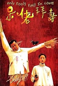 Daai lo baai sau (1995) cover