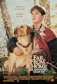 Lontano da casa (1995) cover
