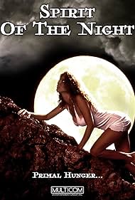 Huntress: Spirit of the Night (1995) copertina