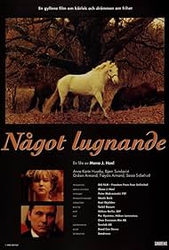 Noe beroligende (1995) cover