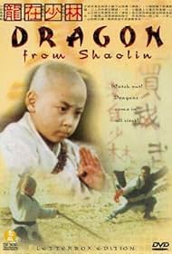 Dragon from Shaolin Colonna sonora (1996) copertina