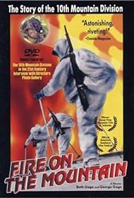 Fire on the Mountain (1996) copertina