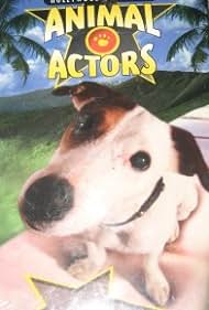 Hollywood&#x27;s Amazing Animal Actors (1996) cover