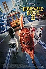 Homeward Bound II: Lost in San Francisco (1996) cover