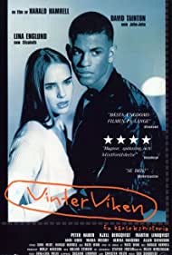 Vinterviken (1996) cobrir