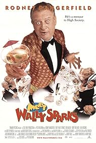 Los líos de Wally Sparks (1997) cover