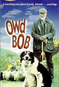 El viejo Bob Banda sonora (1998) carátula