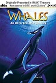 Whales: An Unforgettable Journey Colonna sonora (1997) copertina