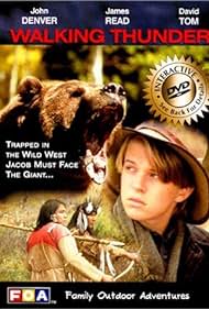 Il grande orso (1995) cover