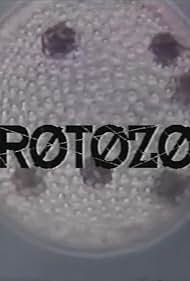 Protozoa (1993) cover
