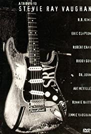 A Tribute to Stevie Ray Vaughan (1996) carátula