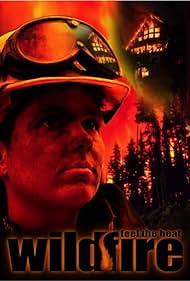 Wildfire: Feel the Heat Colonna sonora (1999) copertina