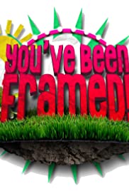 You've Been Framed! (1990) cover