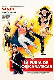 The Fury of the Karate Experts Colonna sonora (1982) copertina