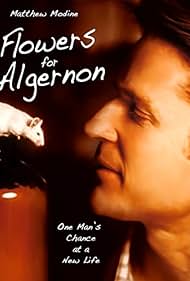 Flores para Algernon Banda sonora (2000) carátula