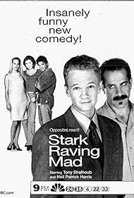 Stark Raving Mad (1999) cover