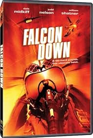 Falcon Down (2001) cover