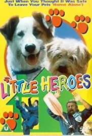 Little Heroes (1999) cover