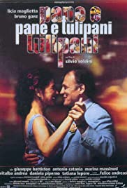 Pane e tulipani (2000) cover
