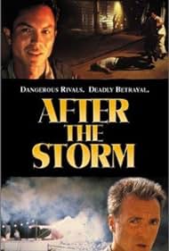 Tras la tormenta (2001) carátula